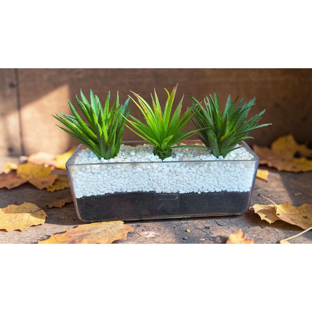 Faux Succulent Arrangement Rectangular Glass Planter White Pebbles Black Sand